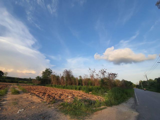 ขายที่ดินม่วงลายเมืองระยอง 4.5 ไร่ ติถ.เส้น ห้วยโป่ง-โรงไฟฟ้า จ.ระยอง