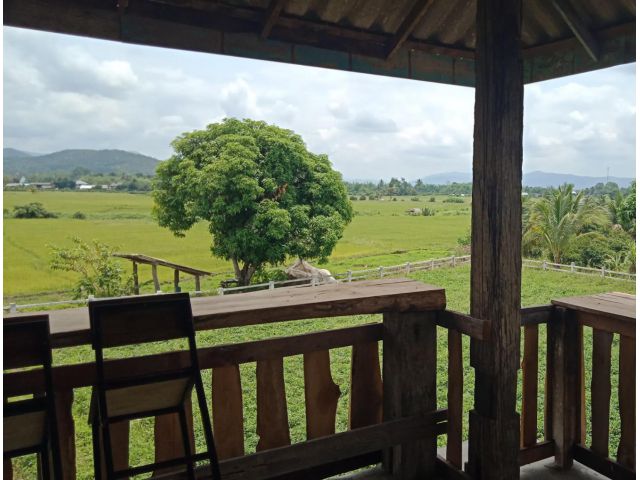 บ้านสวนโกโก้