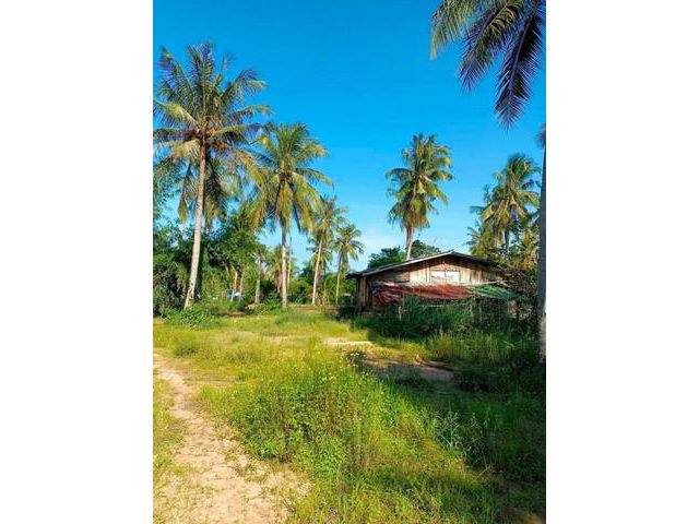 ขายที่ดิน อยู่ใกล้สนามบิน หนองปรือ