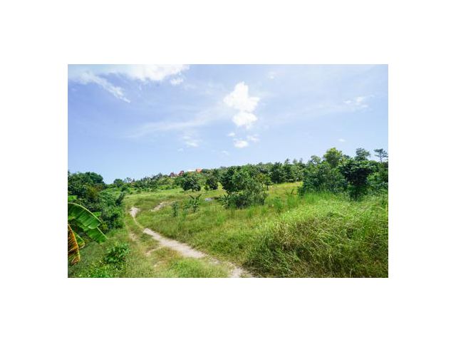 ขายที่ดินเกาะสมุย ใกล้หาดเชิงมนต์ เกาะฟาน ต.บ่อผุด