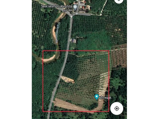 ขายที่ดินสวนปาล์ม 20ไร่ อ.ท้ายเมือง จ.พังงา