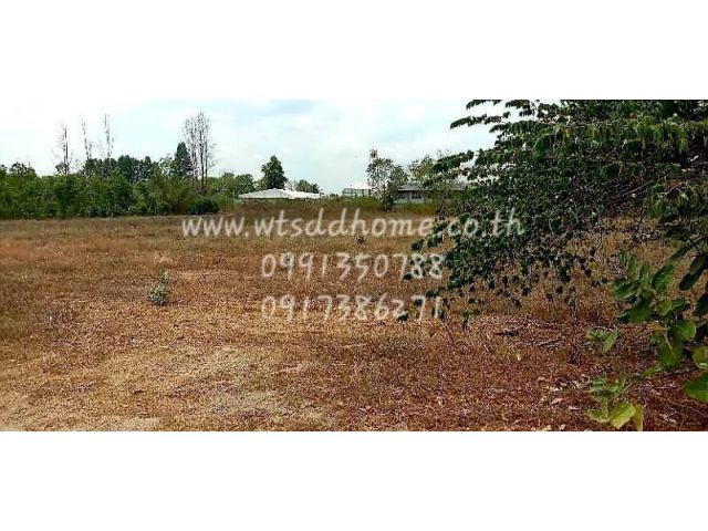 R045-084 ขายที่ดินว่างเปล่า ต.ผักขะ อ.วัฒนานคร จ.สระแก้ว