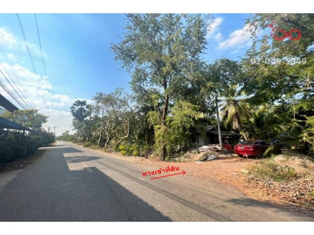 ขายที่ดินพร้อมสวนมะพร้าวติดถนนใหญ่ 17ไร่ 101 ตารางวา  บางคล้า คลองเขื่อน ฉะเชิงเทรา ใกล้อุทยานพระพิฆเนศ