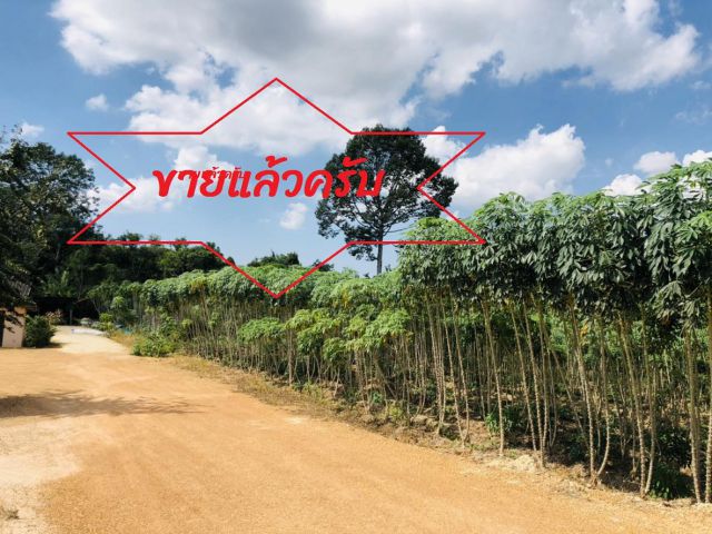 ขายแล้ว