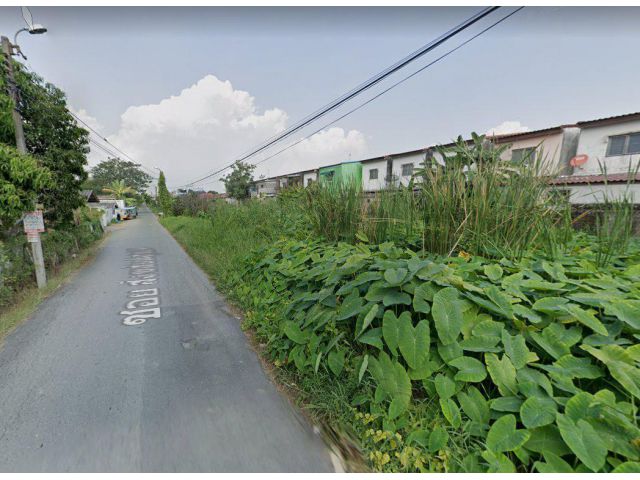 ขายที่ดินเจียระดับ 175 ตรว. ติดถนนซอยสังฆสันติสุข 24 หนองจอก กรุงเทพฯ