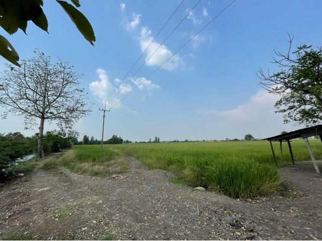 ประกาศขายที่ดินสวย ทำเลดี อ.บ้านหมี่ จ.ลพบุรี