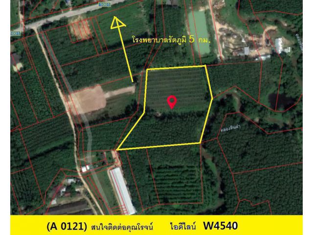 (A 0121) ขายที่ดิน ต.กำแพงเพชร อ.รัตภูมิ 10ไร่ 2 งาน 91ตรว.