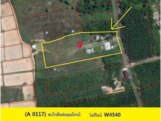 (A 0117) ขายที่ดิน  ต.ควนรู อ.รัตภูมิ    5 ไร่ 19.5  ตรว.