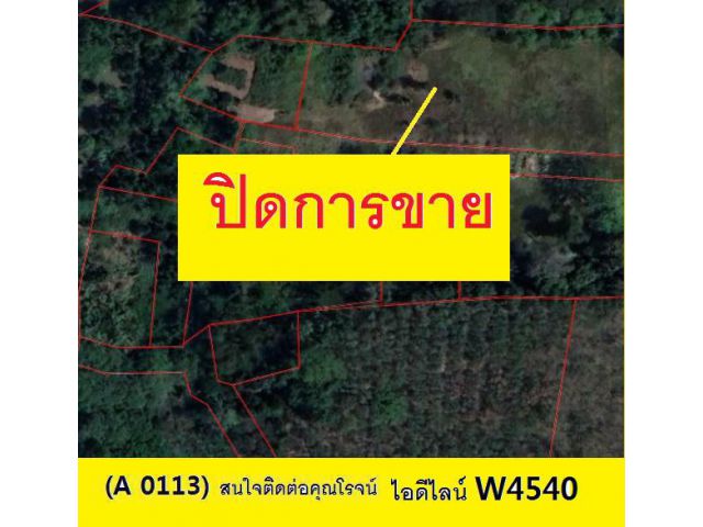 (A 0113) (ขายแล้ว)ขายที่ดิน  ต.ทุ่งใหญ่  อ.หาดใหญ่ 50 ตรว.