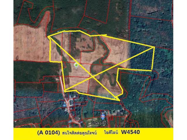 (A 0104) ขายที่ดิน  ต.สำนักขาม  อ.สะเดา  ขนาด  70 ไร่