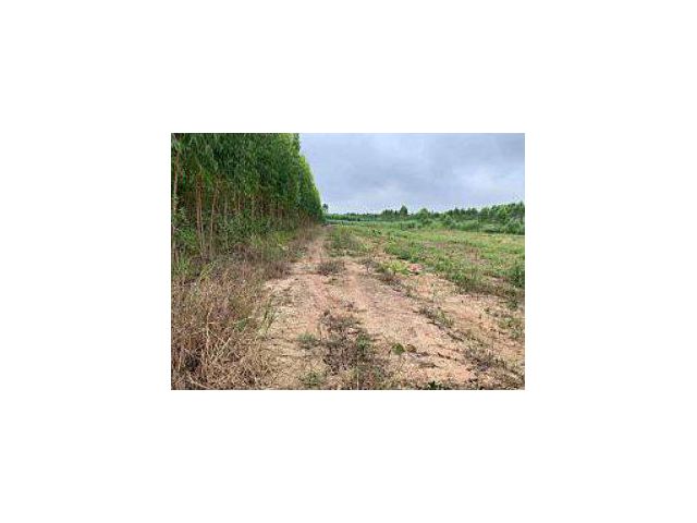 ขายที่ดินกบินทร์บุรี 5 ไร่ ใกล้ถนนเส้น 3079 - 7 กม. อ.กบินทร์บุรี จ.ปราจีนบุรี