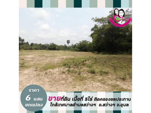 ขายที่นา ติดคลองชลประทาน ใกล้ เทศบาลตำบลสว่างวีระวงค์ เนื้อที่ 5ไร่