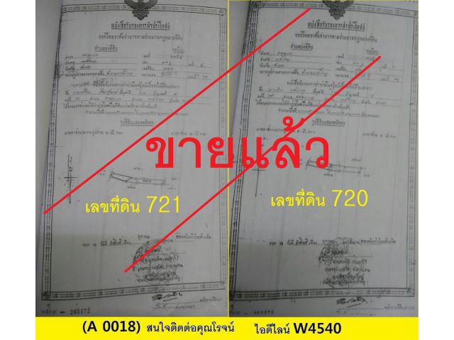 (A 0018) (ขายแล้ว) ที่ดิน ต.คลองแห อ.หาดใหญ่ 7ไร่ ที่ดิน รวม 2 แปลง ติดกัน รวม 7 ไร่