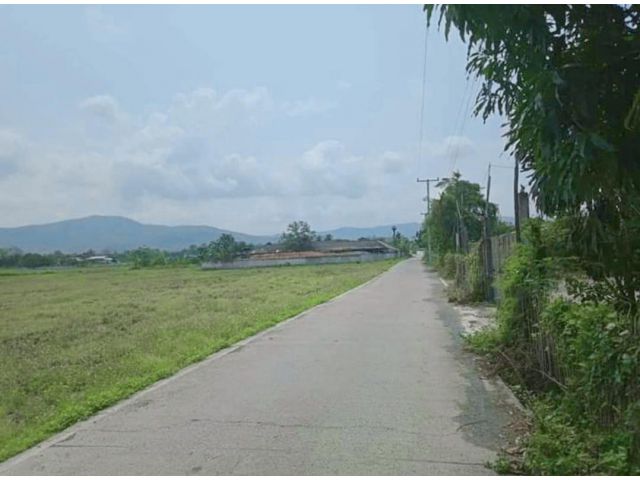 ขายที่ดินบ้านแม่โป่งดอยสะเก็ตบ้านหนองแสะโฉนด