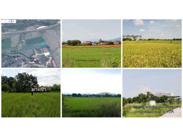 ขายที่ดินทำเลดี ใกล้วิทยาลัยเชียงราย มีทางเข้า ถ.เลี่ยงเมือง R3A ตัดผ่าน สนใจโทร 0991693699