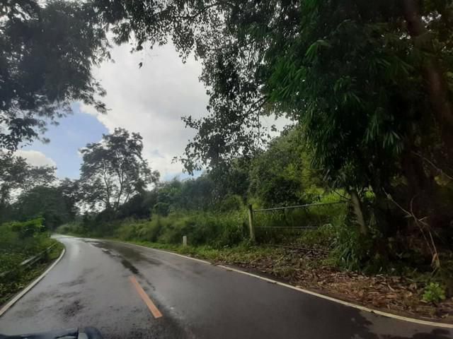 ขายด่วน ที่ดินติดถนนดำ ใกล้น้ำพุร้อน เชียงใหม่