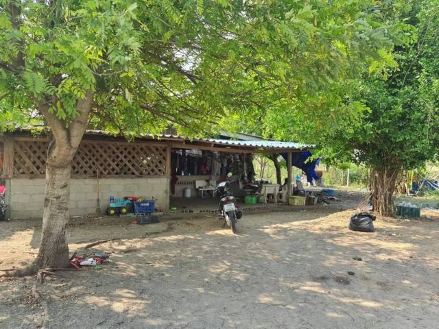 บ้านพร้อมที่ดินราคาถูก 3งาน 50ตรว.ที่โฉนด ติดต่อ 0870060727