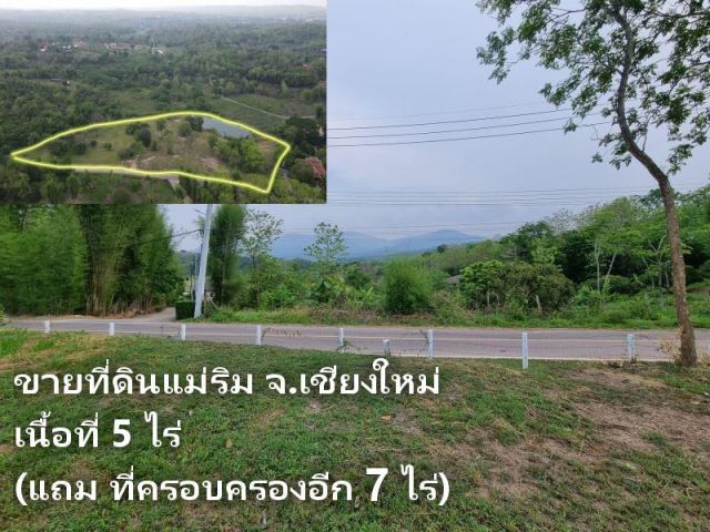 ขายที่ดินแม่ริม ต.แม่แรม อ.แม่ริม จ.เชียงใหม่ นส3ก​ เนื้อที่​ 5 ไร่ ราคา​ 12.5ล้าน (แถม ที่ครอบครองอีก 7 ไร่)​