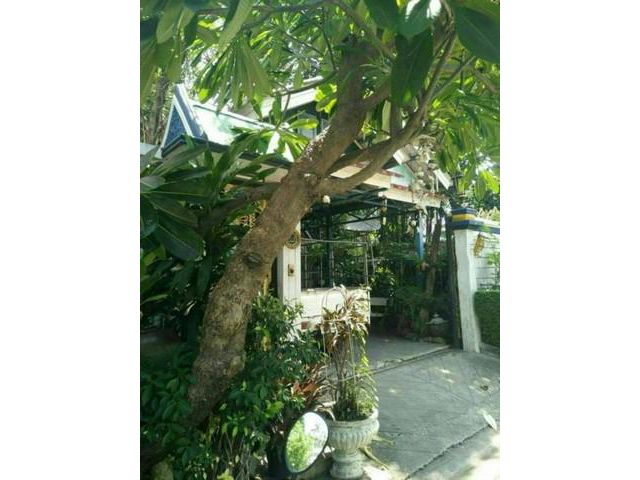 ขายด่วน ลดราคาแรงมาก ที่ดิน สุขุมวิท 71