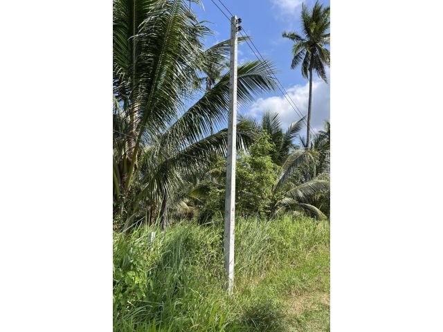 ที่ดินแปลงสวย ห่างถนนเพชรเกษมเพียง 450 เมตร ทำเลดี เป็นสวนมะพร้าว เหมาะปลูกบ้าน นำ้ไฟเข้าถึง  4 ไร่ ไร่ละ 300,000
