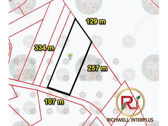 ขายที่ดินหัวสำโรง 20 ไร่ ใกล้นิคมเกตเวย์ - 2.6 กม. แปลงยาว ฉะเชิงเทรา