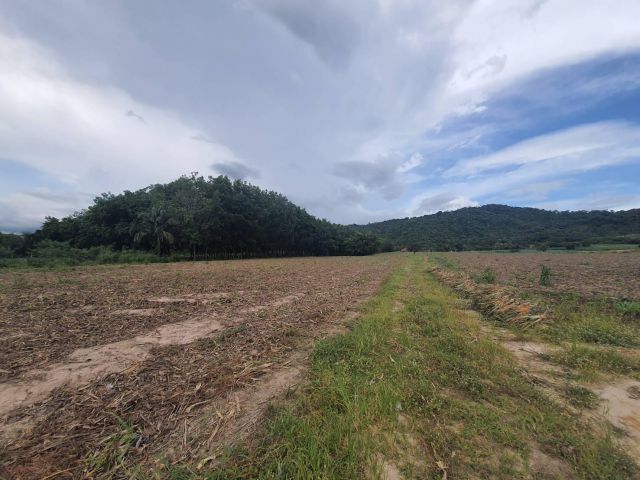 ขายที่ดิน 23 ไร่ มองเห็นวิวภูเขา ใกล้ถนน 36 2 กม. นิคมพัฒนา จ.ระยอง