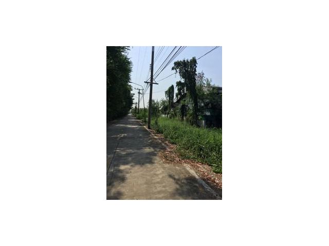ขายด่วนที่ดิน 4 ไร่ ซอยสถานีพัฒนาที่ดินปทุมธานี