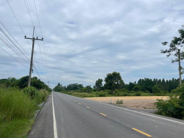 ขายที่ดินเกาะขนุน เริ่มต้น 68 ตรว. หนองเสือ ถมแล้ว ใกล้ถนนเส้นสัตหีบ - พนมสารคาม(331) 1.9 กม. พนมสารคาม จ.ฉะเชิงเทรา