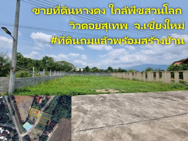 ขายที่ดินหางดง ใกล้พืชสวนโลก วิวดอยสุเทพ มี 2 แปลง เนื้อที่ 105 , 100 ตร.ว. #ที่ดินถมแล้วพร้อมสร้างบ้าน