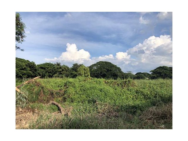 ขาย ที่ดิน ตำบลป่าแดด อำเภอเมืองเชียงใหม่ จังหวัดเชียงใหม่