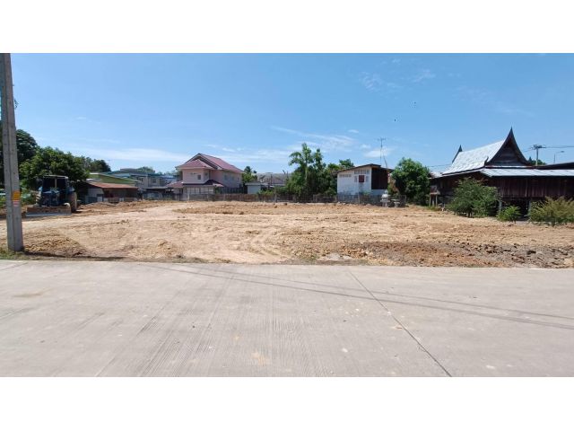 ท่านที่มองหาที่ดินในเมืองสุพรรณ เรามี 300 ตรว.แบ่งขาย