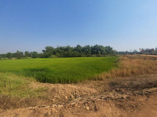 ขายที่ดินเกาะขนุน 6 ไร่ ติดคลองใกล้ถนน 331 - 9 กม. จ.ฉะเชิงเทรา