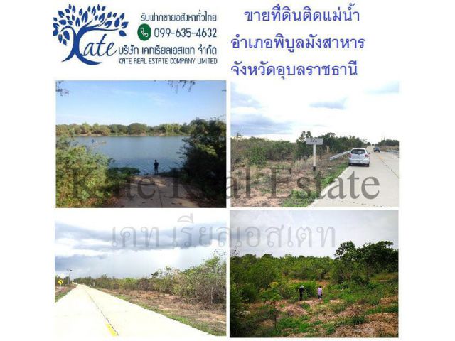 ขายที่ดินสวยอำเภอพิบูลมังสาหาร จังหวัดอุบลราชธานีเจ้าของ]