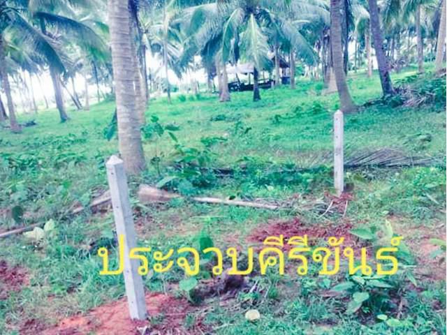 มาแล้วทรัพย์อุ่นใจขายที่ดินติดทะเล ประจวบ