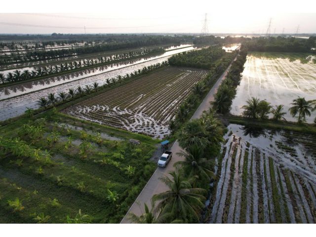 ขายที่ดินดอนฉิมพลี 4 ไร่ คลอง 17 ติดถนนคอนกรีตใกล้แยกไผ่ดำ 6 กม. จ.ฉะเชิงเทรา