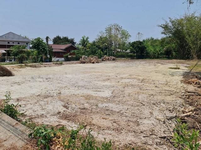 ที่ดินราคาถูก 2 แปลงติดกัน ขายแยกได้