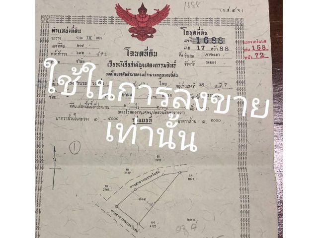 ขายด่วนที่ดินเนื้อที่ 2ไร่ 200ตารางวา