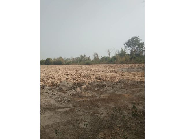 ขายที่ดิน 14 ไร่ เหมาะทำหมู่บ้านจัดสรร  ใกล้ถนน 319 - 200 เมตร จ.ปราจีนบุรี