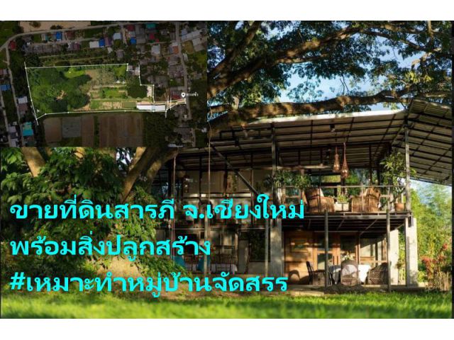 ขายที่ดินสารภี พร้อมสิ่งปลูกสร้าง ใกล้วงแหวนรอบ3สี่แยกกองทราย เนื้อที่ 11-3-44.5 ไร่ วาละ 9,500 บาท