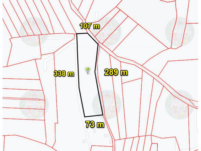 ขายที่ดินโนนไทย 14 ไร่ ใกล้ถ.เส้น 6019 - 500 เมตร จ.นครราชสีมา