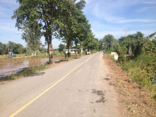 ขายที่ดินหนองสรวง 30 ไร่ ติดถนนลาดยาง ใกล้ถนนเส้นสุวรรณศร 33 - 7.1 กม. อ.วิหารแดง จ.สระบุรี