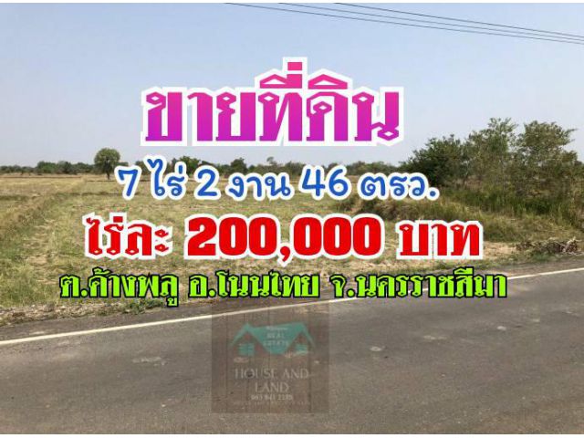 ขายที่ดิน 7 ไร่ 2 งาน 46 ตารางวา บ้านหนองตาล ตำบล ค้างพลู อำเภอ โนนไทย จังหวัด นครราชสีมา ขายถูกมาก