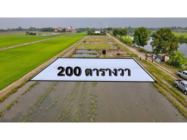 ขายที่ดินคลองสี่ 200 ตรว. ใกล้ถนนหมายเลข 9 - 6.1 กม. คลองหลวง ปทุมธานี