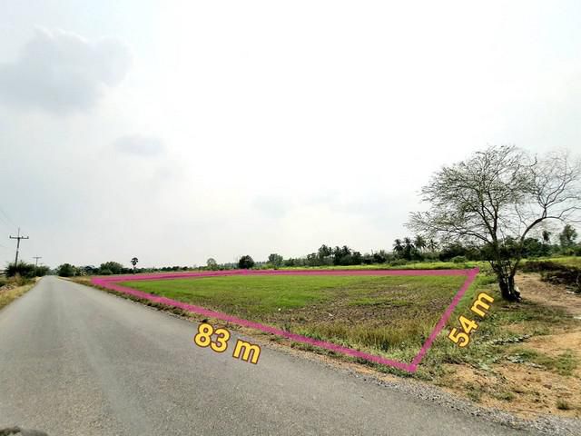 ขายที่ดินบางน้ำเปรี้ยว 2ไร่ สวยๆใกล้แยกไผ่ดำ แหล่งชุมชน จ.ฉะเชิงเทรา