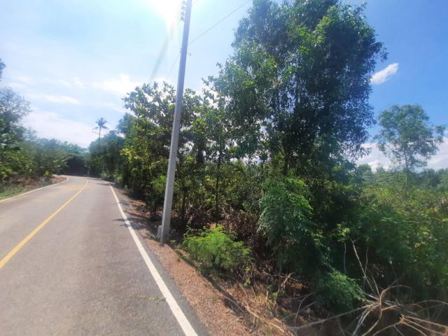 ขายที่ดินเมืองฉะเชิงเทราติดแม่น้ำบางปะกง 5 ไร่ ติดถนนลาดยาง ใกล้ถนนเส้น 304 เพียง 600 เมตร จ.ฉะเชิงเทรา