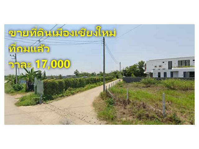 ขายที่ดินเมืองเชียงใหม่ #ที่ถมแล้ว เนื้อที่ 1-1-83 ไร่ วาละ 17,000 เหมาะสำหรับสร้างบ้าน