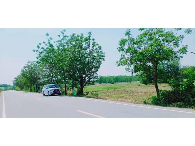 ขายที่ดินแปลงสวย ทำเลดีติด ทล.ชนบท เหมาะสร้างบ้าน กิจการร้านค้า แบ่งแปลงขาย ครุฑแดงพร้อมโอน