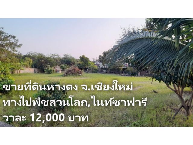 ขายที่ดินหางดง ทางไปพืชสวนโลก,ไนท์ซาฟารี เนื้อที่ 382 ตร.ว. วาละ 12,000