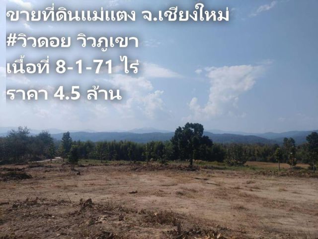 ขายที่ดินแม่แตง วิวดอย วิวภูเขา เนื้อที่ 8-1-71 ไร่ ราคา 4.5 ล้าน