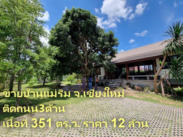 #ขายบ้านแม่ริม ติดถนนเส้นเหมืองแก้ว-ป่าข่อยเหนือ เนื้อที่ 351 ตร.ว. ติดถนน3ด้าน ในที่ดินมีบ้าน ๒ หลัง ต.เหมืองแก้ว อ.แม่